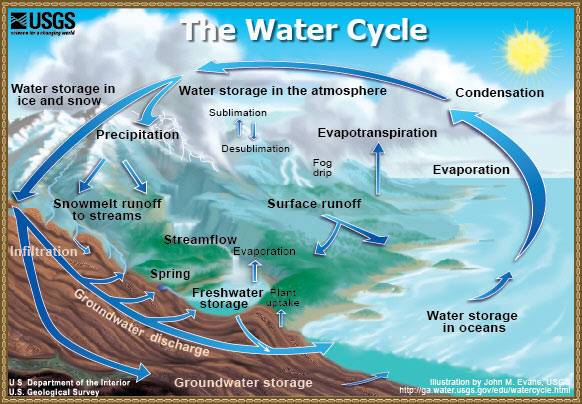 The Water Cycle:  color graphic showing the movement of water through the water cycle, from evaporation and transpiration to condensation, to water storage in the atmophere, to precipitation, to water storage in ice and snow, surface runoff, snowmelt runoff to streams, streamflow, and freshwater storage.  A cut away shows the ground water portion of the water cycle, from infiltration to ground water storage and ground water discharge into springs and freshwater storage.  Surface runoff, freshwater storage, ground water storage, and ground water discharge are all shown contributing to water storage in oceans, where the evaporation portion of the water cycle starts again.